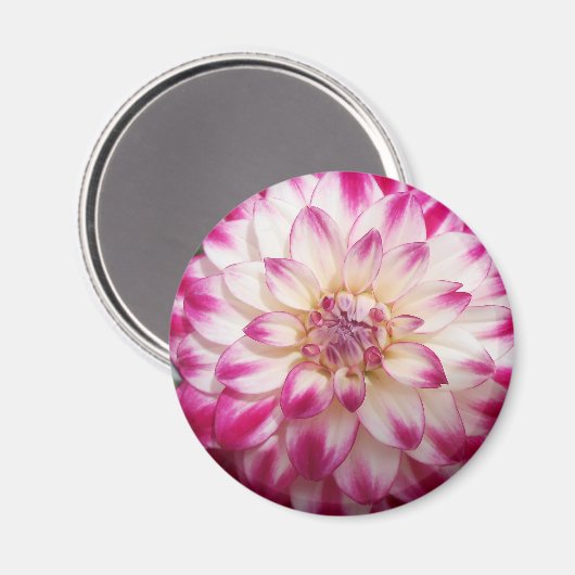 Beaux Magnet (Vorderseite/Rückseite)