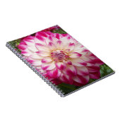 Beaux Notizblock (Rechte Seite)