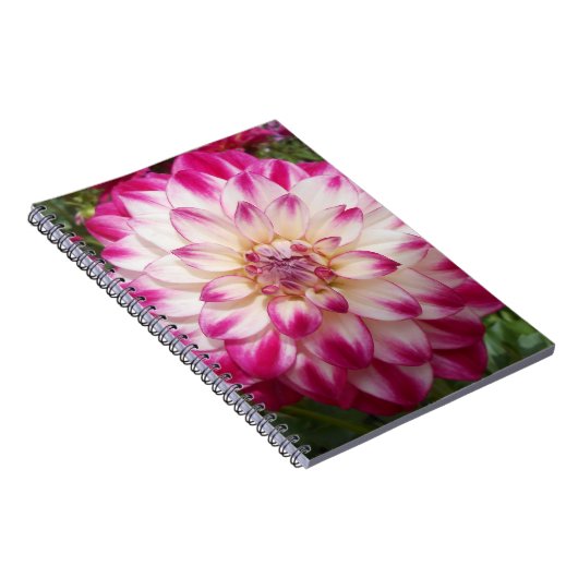 Beaux Notizblock (Rechte Seite)