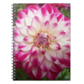 Beaux Notizblock (Vorderseite)