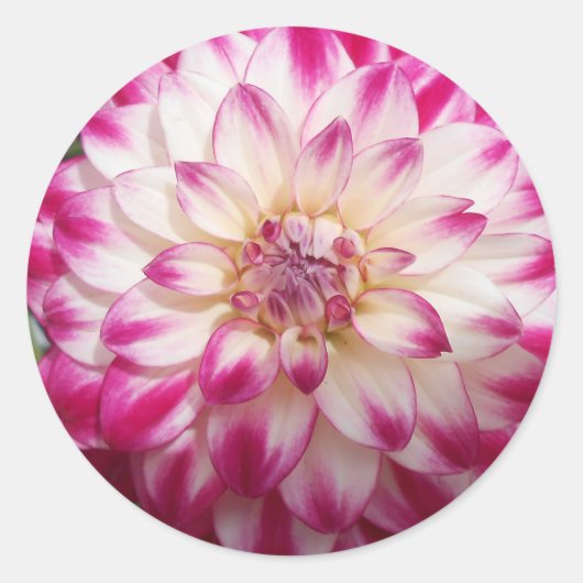 Beaux Runder Aufkleber (Vorderseite)