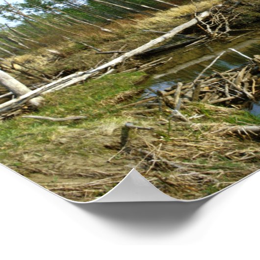 Beaver Dam Poster (Ecke)