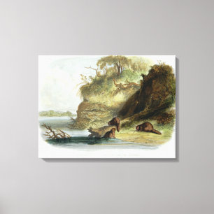 Beaver Hut on the Missouri, Plattform 17 from volu Leinwanddruck