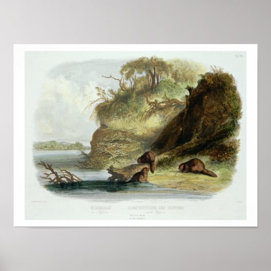 Beaver Hut on the Missouri, Plattform 17 from volu Poster (Vorne)