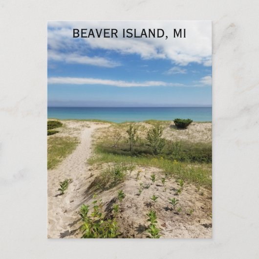 Beaver Island Michigan Beach Travel Postkarte (Vorderseite)
