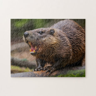 Beaver Jigsaw Puzzles