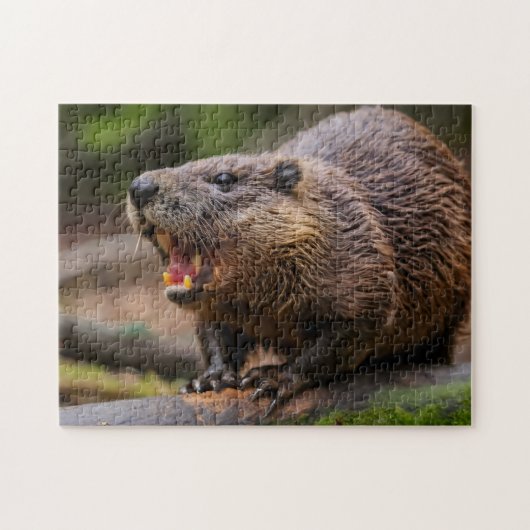 Beaver Jigsaw Puzzles (Horizontal)