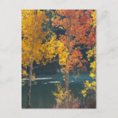 Beaver Lake (Mesa Lakes) in Autumn Postkarte (Vorderseite)