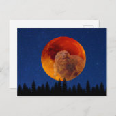Beaver Moon im November Postkarte (Vorne/Hinten)