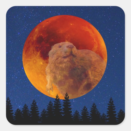 Beaver Moon im November Quadratischer Aufkleber (Vorderseite)