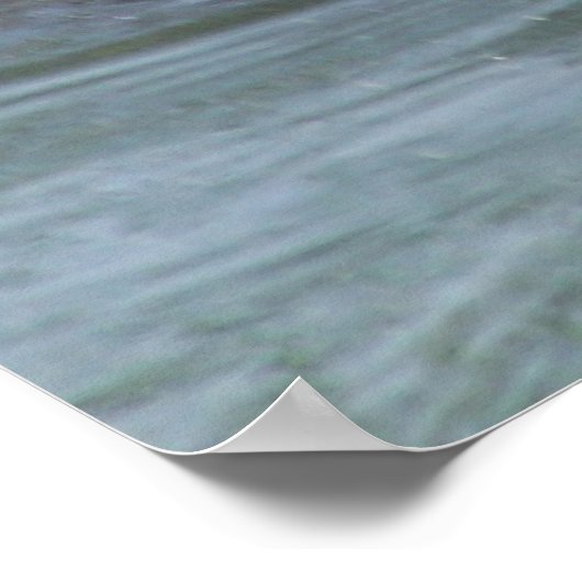 Beaver poster (Ecke)