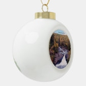 Beaver River Falls ball oder Schneeflockenschmuck Keramik Kugel-Ornament (Links)