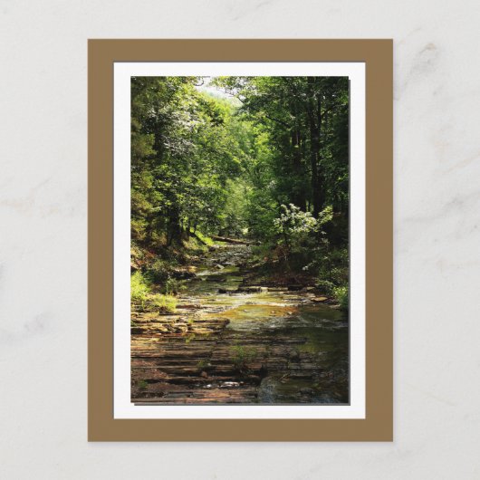 Beavers Bend Staat Park Foto Postkarte (Vorderseite)
