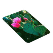 Beavertail Cactus Blume Magnet (Rechte Seite)