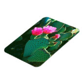 Beavertail Cactus Blume Magnet (Linke Seite)