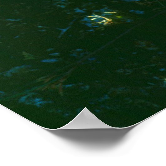 Beavertail Cactus Blume Poster (Ecke)