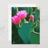 Beavertail Cactus Blume Postkarte (Vorne/Hinten)