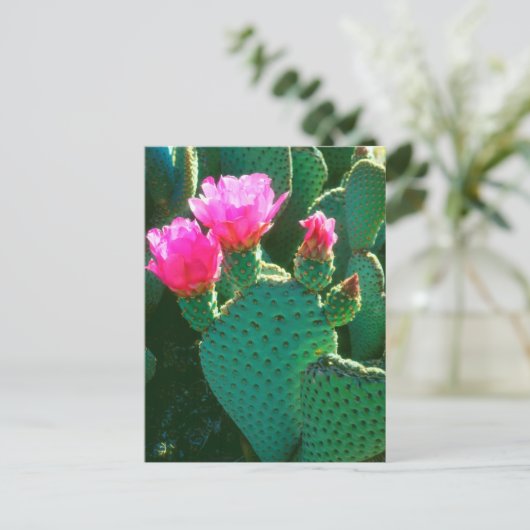Beavertail Cactus Blume Postkarte (Stehend Vorderseite)