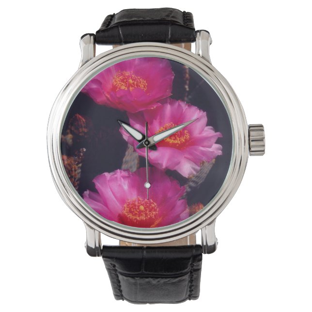 Beavertail Cactus Flowers 2 Armbanduhr (Vorderseite)