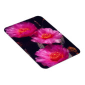 Beavertail Cactus Flowers 2 Magnet (Rechte Seite)