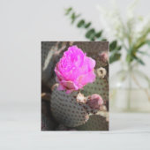 Beavertail Cactus Postcard Postkarte (Stehend Vorderseite)