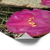 Beavertail Cactus Poster (Ecke)
