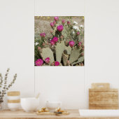 Beavertail Cactus Poster (Küche)