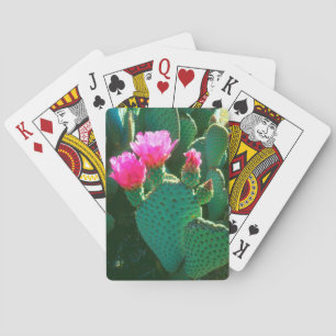 Beavertail Kaktus-Blumen Spielkarten