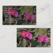 Beavertail Kaktus-Blumen Visitenkarte (Vorne/Hinten)