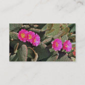 Beavertail Kaktus-Blumen Visitenkarte (Rückseite)