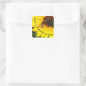 Bebe auf Sonnenblume Du bist mein Sonnenschein Quadratischer Aufkleber (Tasche)