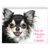 Bebe der Kalender der Chihuahua-2015 (Titelbild)
