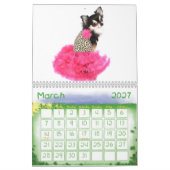 Bebe der Kalender der Chihuahua-2015 (Mär 2027)