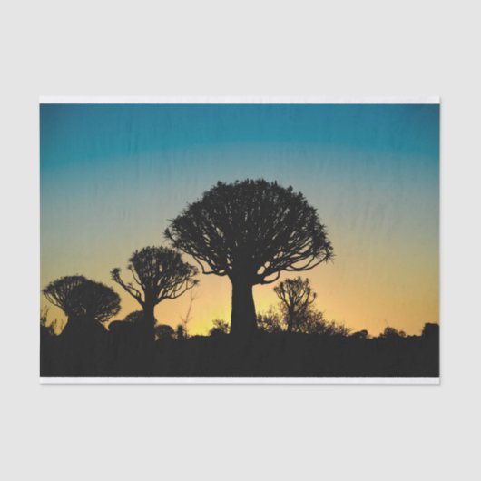 Beben-Baum-Waldsonnenuntergang-Seidenpapier Seidenpapier (Vorderseite)