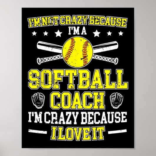 Because I'm A Softll Coach Softll Coaching Poster (Vorne)