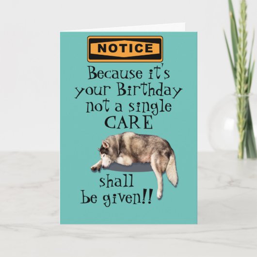 because it's your birthday not a care bday card karte (Vorderseite)