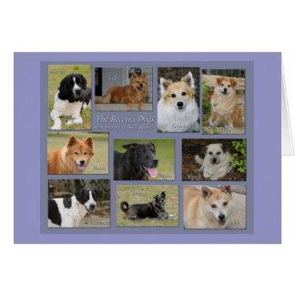 Becerra Hunde - besonders angefertigt