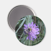 Becher Magnet (Vorderseite/Rückseite)