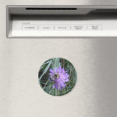 Becher Magnet (In Situ (Geschirrspüler))