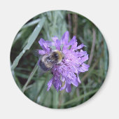 Becher Magnet (Vorne)