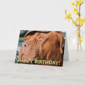 Becher mit Bordeaux-Foto-Birthday-Card Karte (Gelbe Blume)