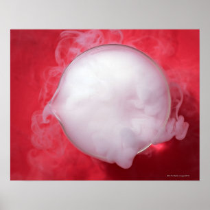 Becher Poster