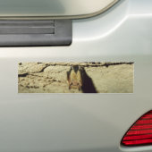 Becken Autoaufkleber (Auf Auto)