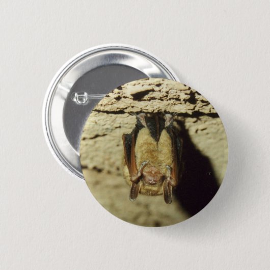Becken Button (Vorne & Hinten)