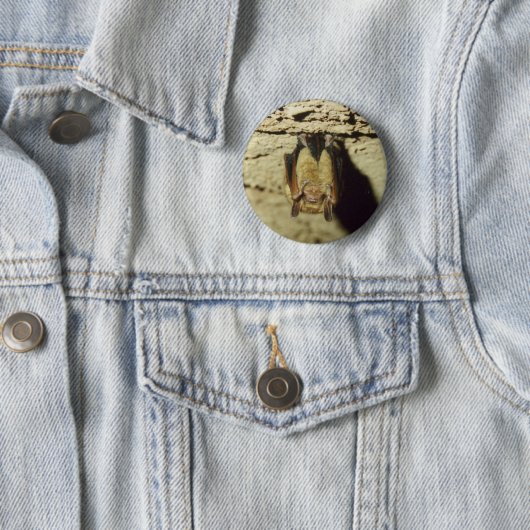 Becken Button (Beispiel)