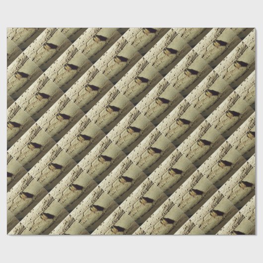 Becken Geschenkpapier (Flach)