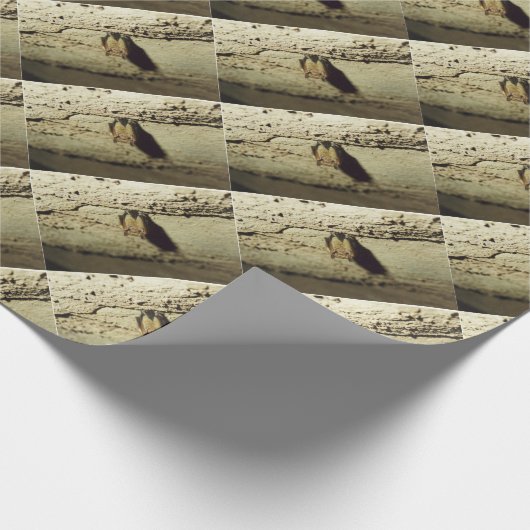 Becken Geschenkpapier (Ecke)