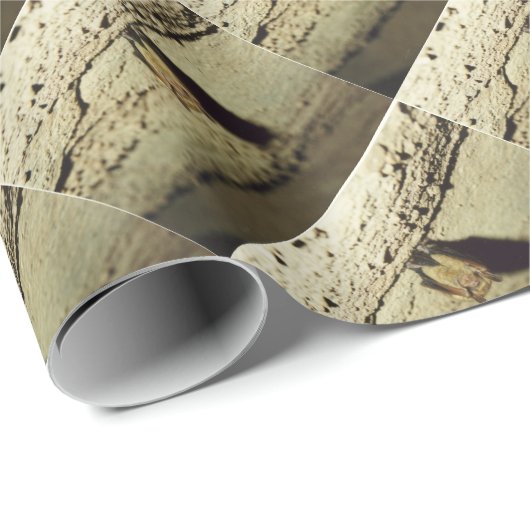 Becken Geschenkpapier (Rolleneckpunkt)