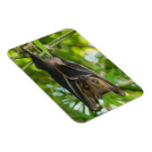 Becken Magnet (Rechte Seite)