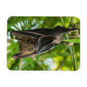 Becken Magnet (Horizontal)